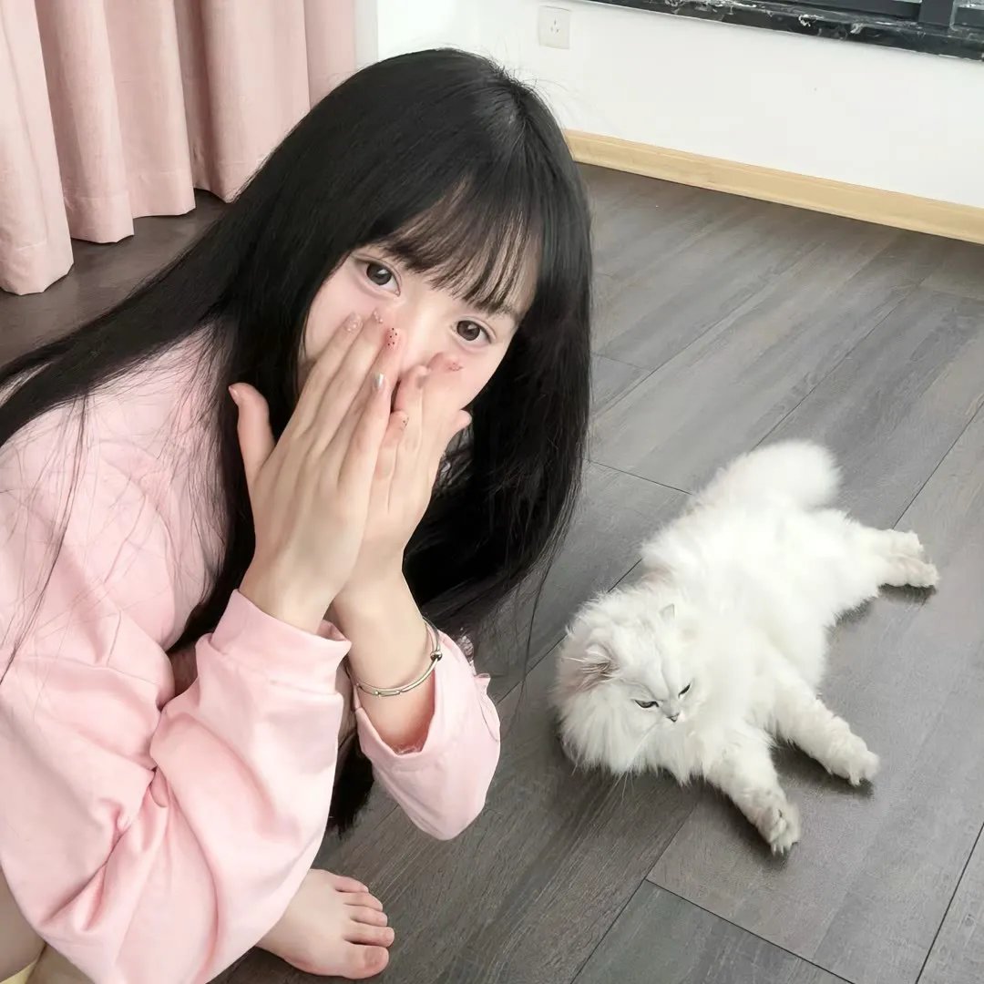 飞马俏姑娘