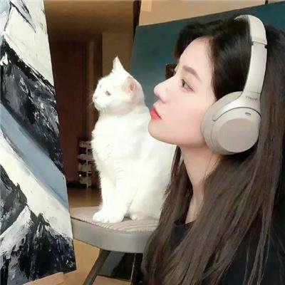 八面玲珑的申小姐